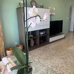 Aleksandra فيلة كاليبي