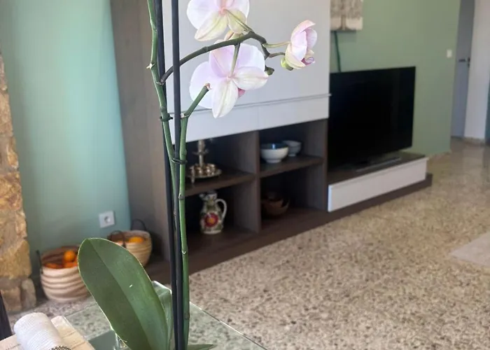 Aleksandra 别墅 卡尔佩