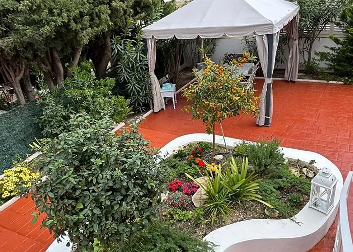 Aleksandra 卡尔佩